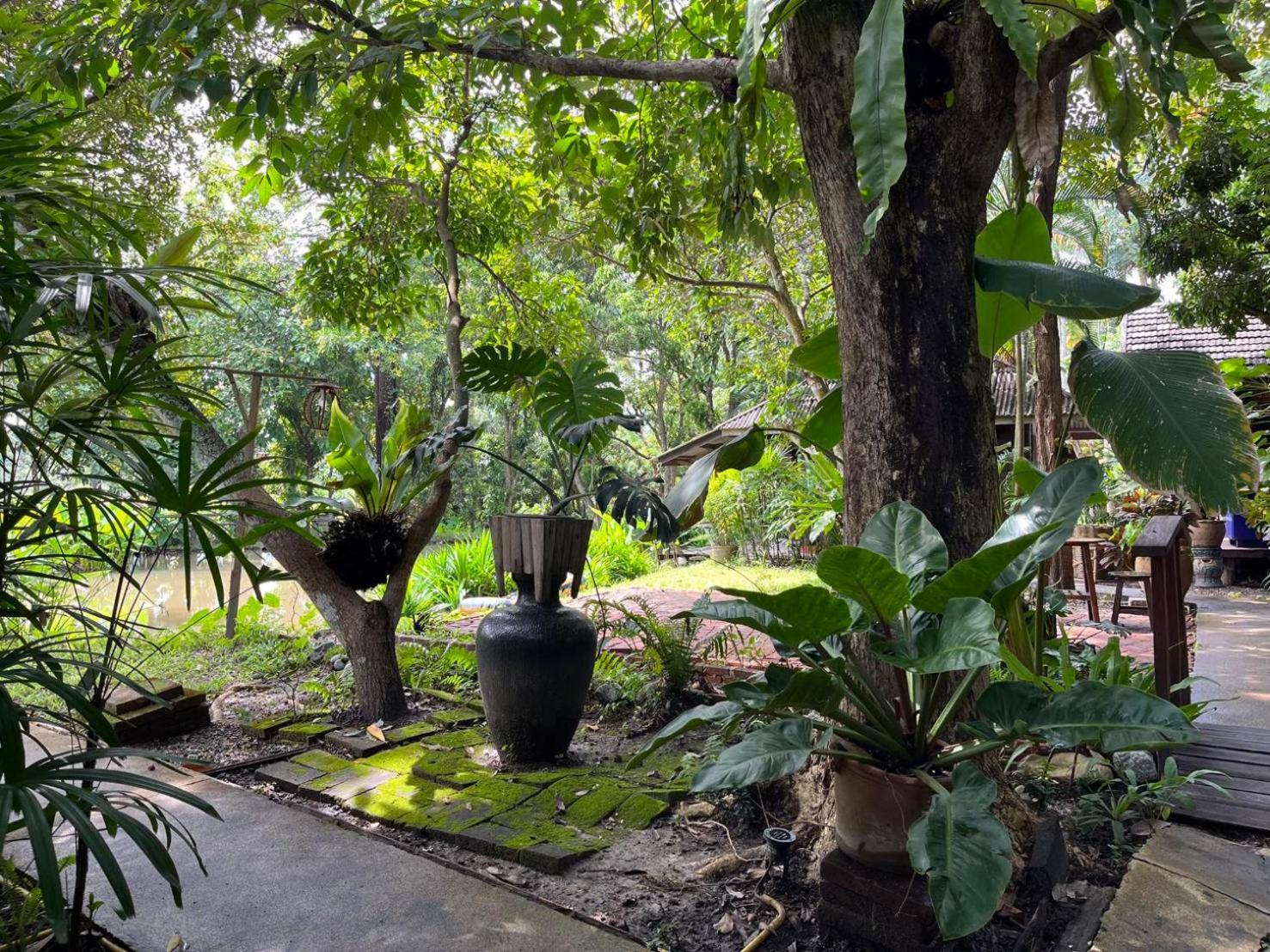 Tongluang Inthanon Homestay โต้งหลวงอินทนนท์โฮมสเตย์ Чом Тхонг Экстерьер фото