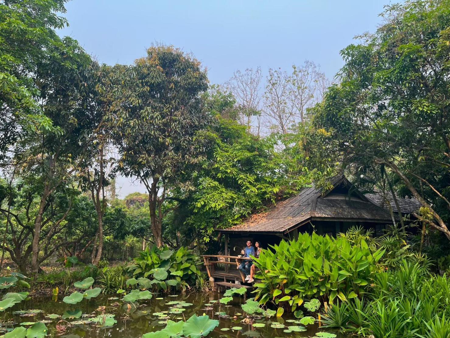 Tongluang Inthanon Homestay โต้งหลวงอินทนนท์โฮมสเตย์ Чом Тхонг Экстерьер фото